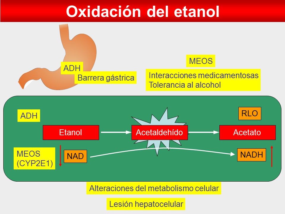proceso de oxidación del etanol