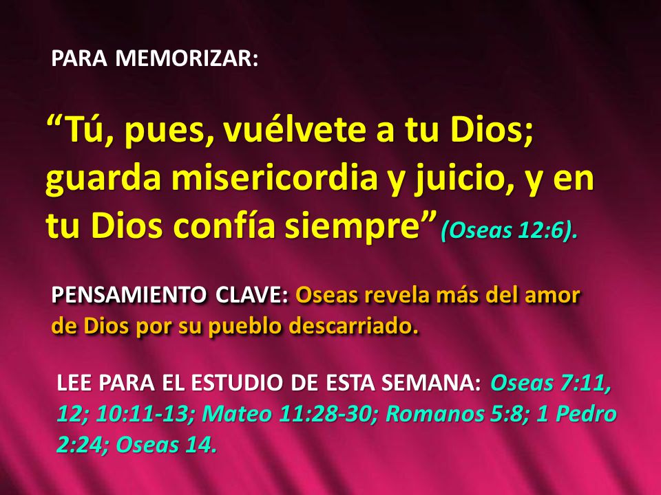 Tú, pues, vuélvete a tu Dios; guarda misericordia y juicio, y en