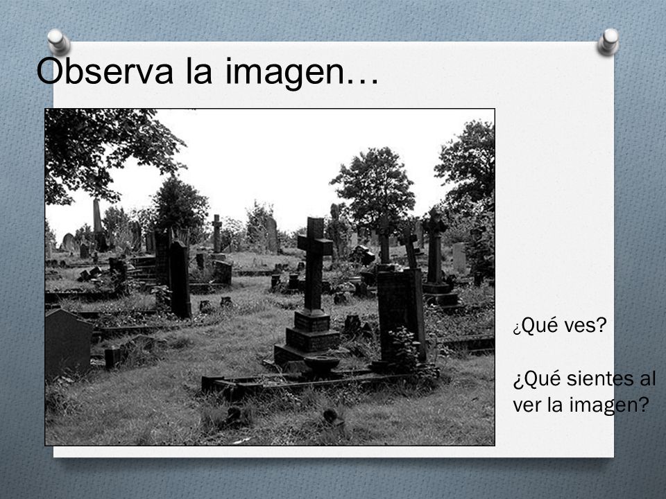 Observa la imagen… ¿Qué ves ¿Qué sientes al ver la imagen