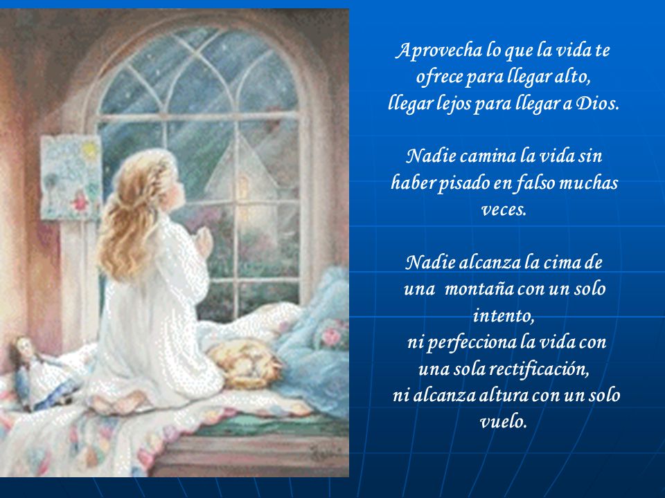 Aprovecha lo que la vida te ofrece para llegar alto,
