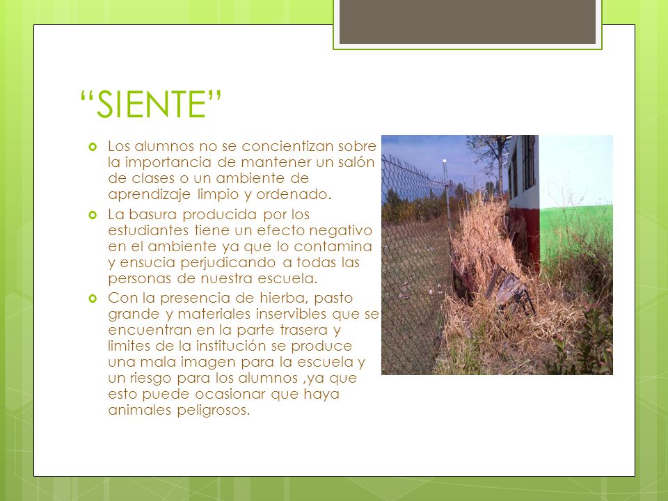 SIENTE Los alumnos no se concientizan sobre la importancia de mantener un salón de clases o un ambiente de aprendizaje limpio y ordenado.