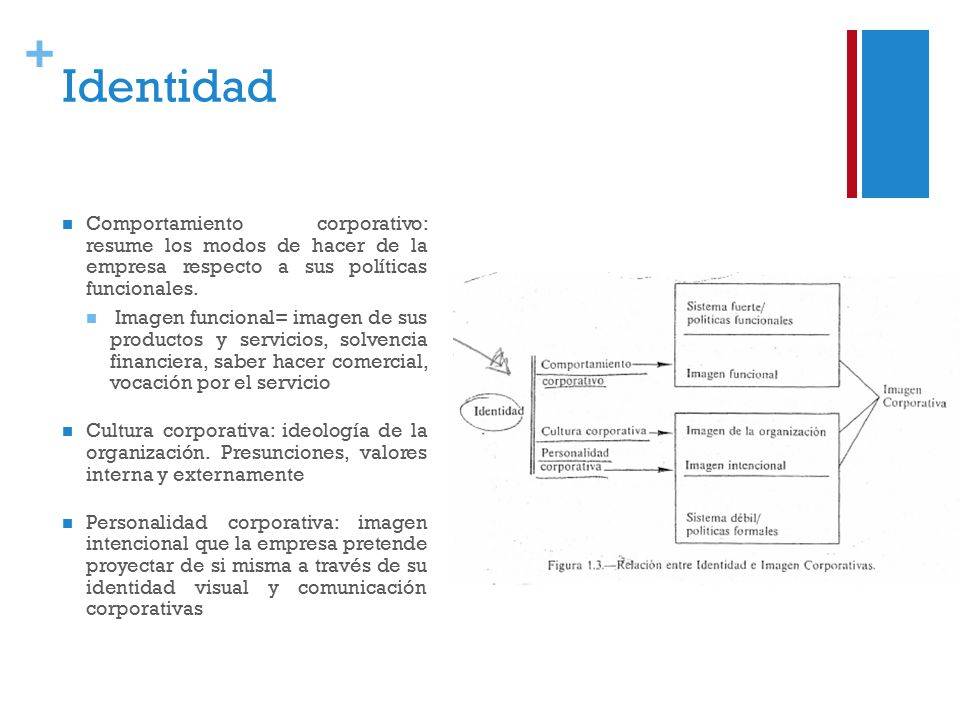 Identidad Comportamiento corporativo: resume los modos de hacer de la empresa respecto a sus políticas funcionales.