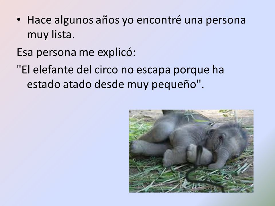 Hace algunos años yo encontré una persona muy lista.