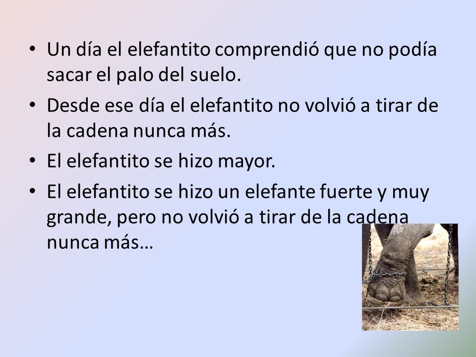 Un día el elefantito comprendió que no podía sacar el palo del suelo.