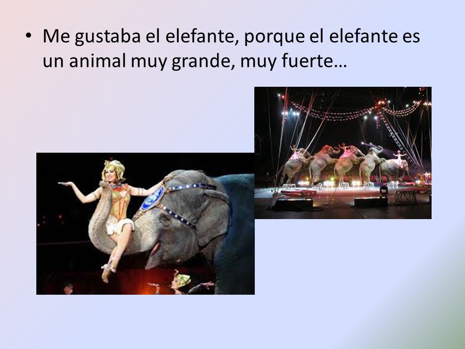 Me gustaba el elefante, porque el elefante es un animal muy grande, muy fuerte…