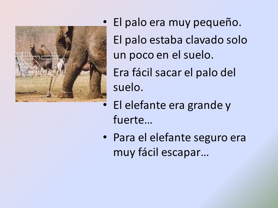 El palo era muy pequeño. El palo estaba clavado solo un poco en el suelo. Era fácil sacar el palo del suelo.