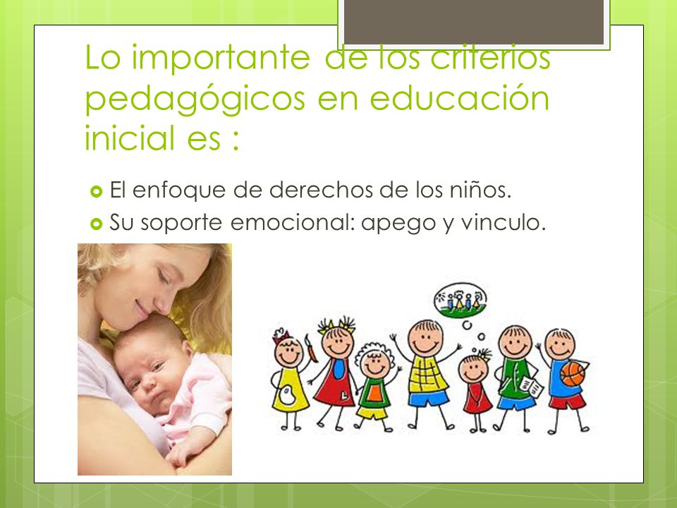 Lo importante de los criterios pedagógicos en educación inicial es :