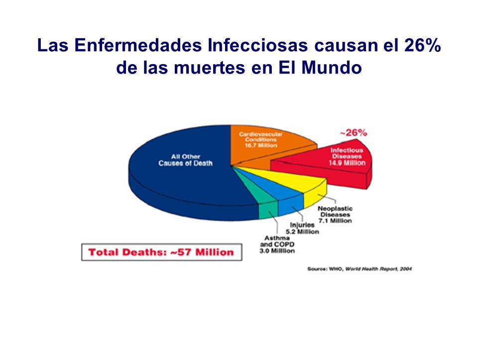 Las Enfermedades Infecciosas causan el 26% de las muertes en El Mundo