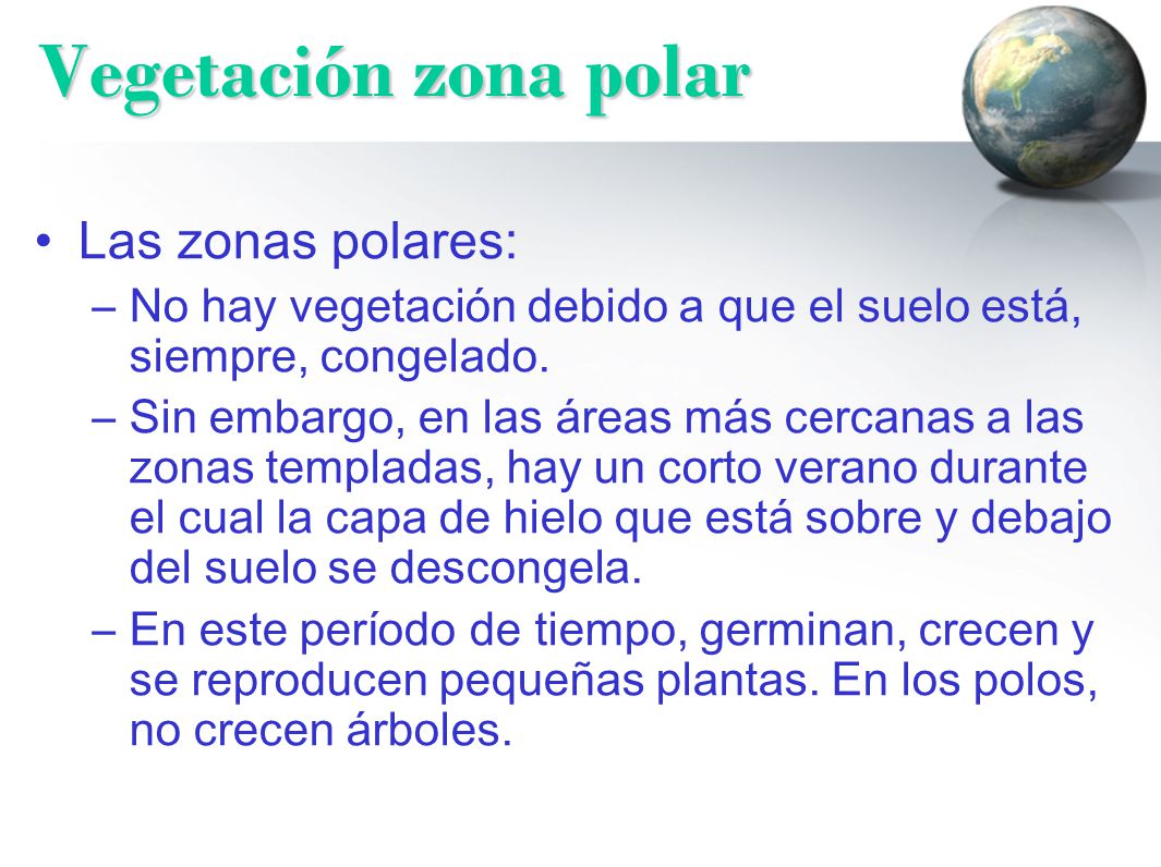 Vegetación zona polar Las zonas polares: