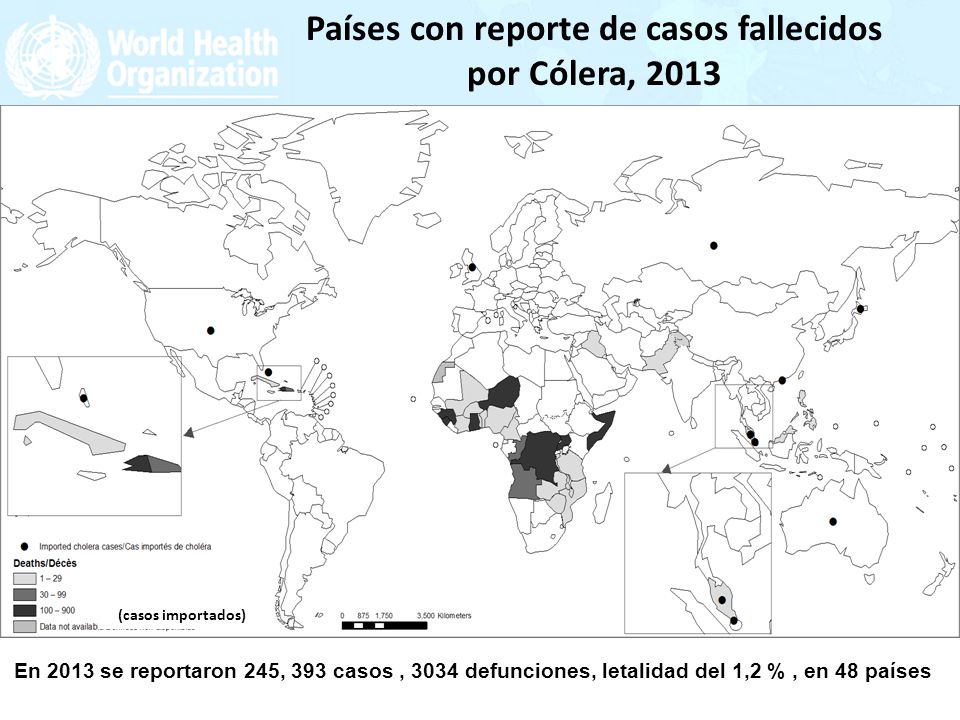 Países con reporte de casos fallecidos por Cólera, 2013