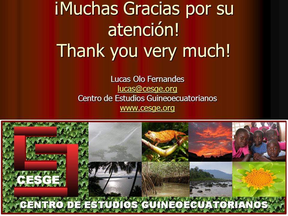¡Muchas Gracias por su atención! Thank you very much!