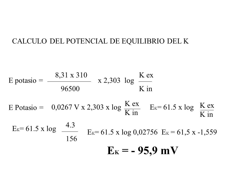 EK = - 95,9 mV CALCULO DEL POTENCIAL DE EQUILIBRIO DEL K 8,31 x 310