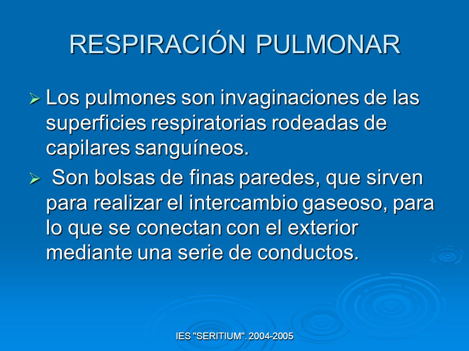 RESPIRACIÓN PULMONAR Los pulmones son invaginaciones de las superficies respiratorias rodeadas de capilares sanguíneos.