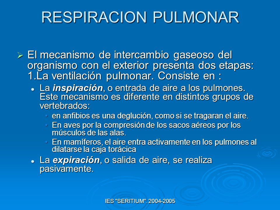 RESPIRACION PULMONAR El mecanismo de intercambio gaseoso del organismo con el exterior presenta dos etapas: 1.La ventilación pulmonar. Consiste en :
