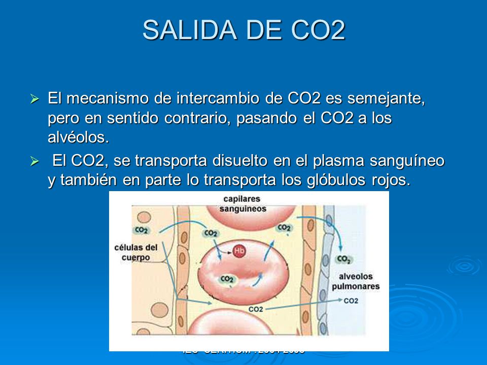 SALIDA DE CO2 El mecanismo de intercambio de CO2 es semejante, pero en sentido contrario, pasando el CO2 a los alvéolos.