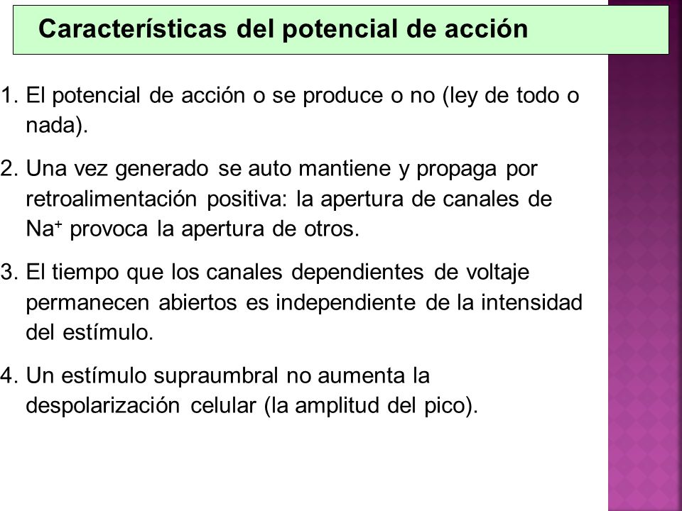 Características del potencial de acción