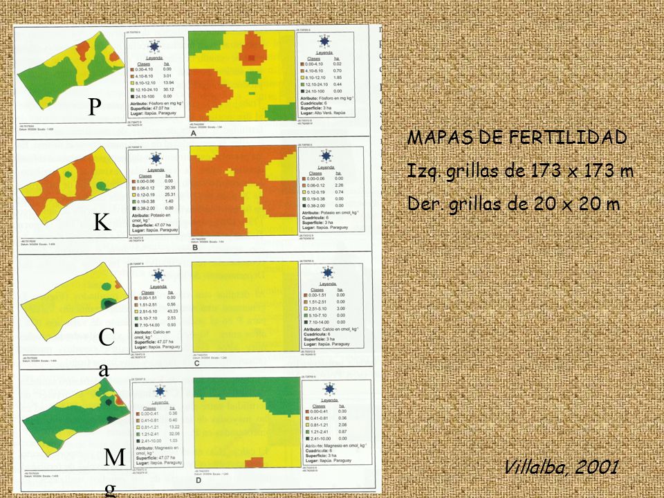 P K Ca Mg MAPAS DE FERTILIDAD Izq. grillas de 173 x 173 m