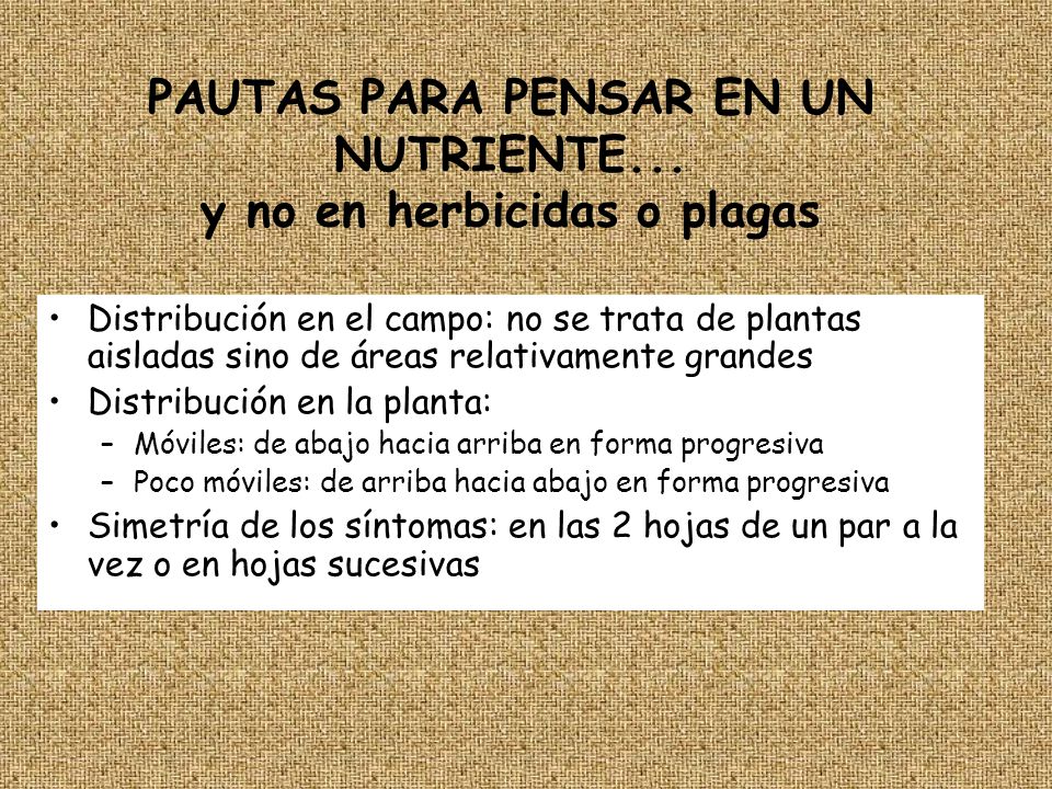 PAUTAS PARA PENSAR EN UN NUTRIENTE... y no en herbicidas o plagas