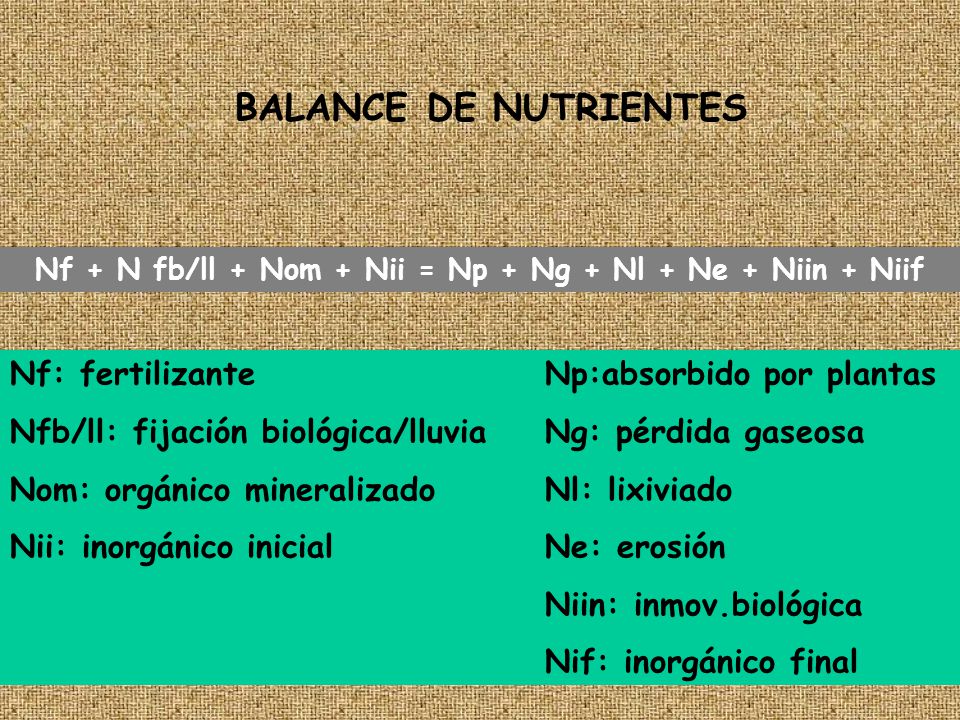 Nf + N fb/ll + Nom + Nii = Np + Ng + Nl + Ne + Niin + Niif