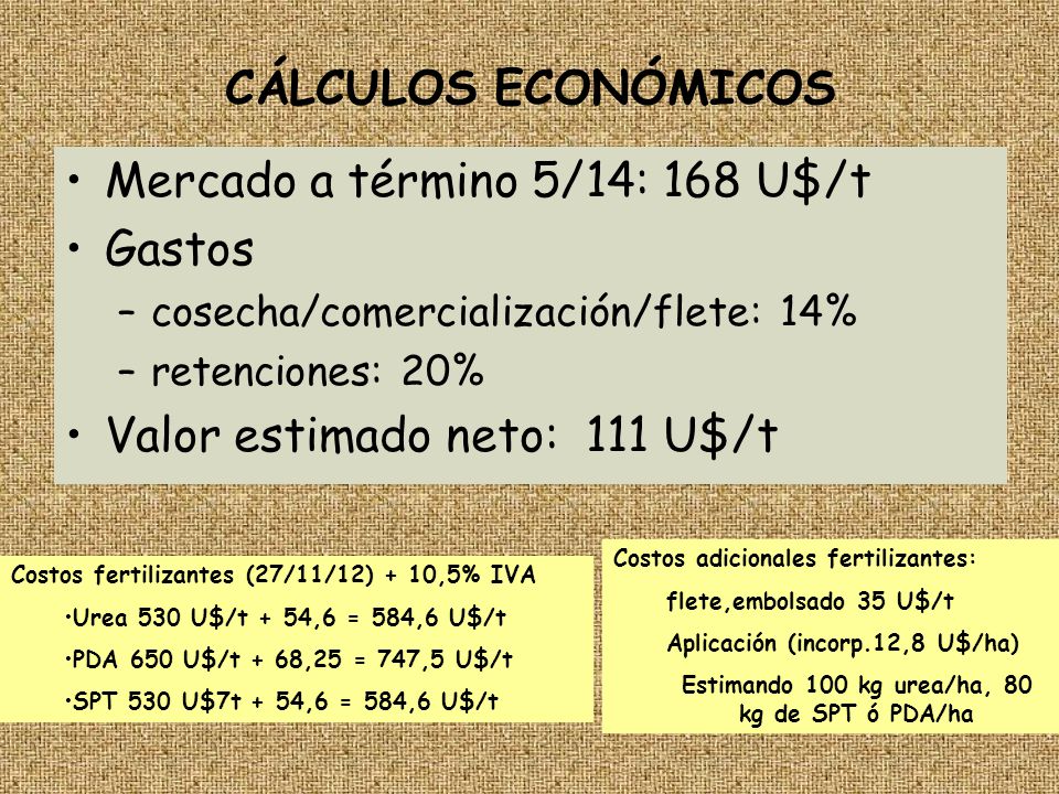 Estimando 100 kg urea/ha, 80 kg de SPT ó PDA/ha