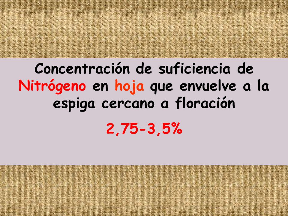 Concentración de suficiencia de Nitrógeno en hoja que envuelve a la espiga cercano a floración