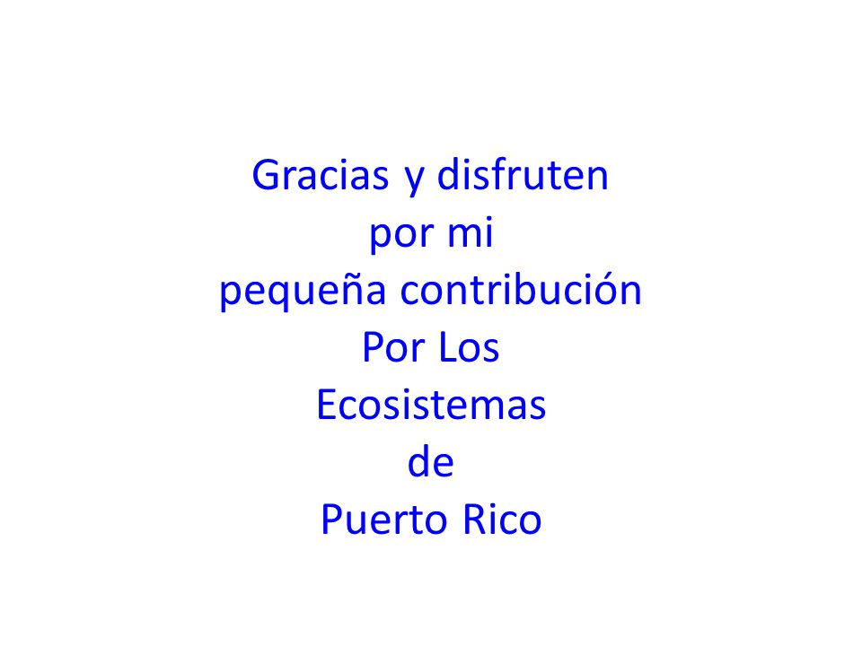 Gracias y disfruten por mi pequeña contribución Por Los Ecosistemas de Puerto Rico