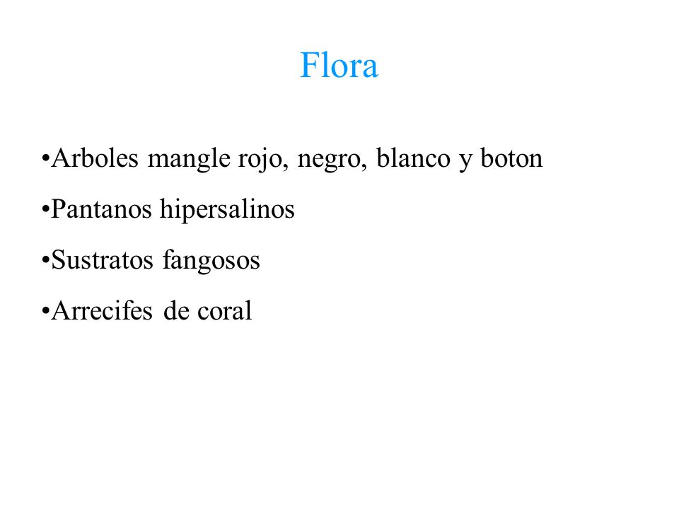 Flora Arboles mangle rojo, negro, blanco y boton Pantanos hipersalinos