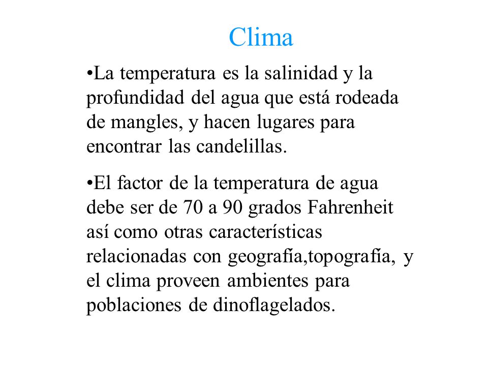 Clima La temperatura es la salinidad y la profundidad del agua que está rodeada de mangles, y hacen lugares para encontrar las candelillas.