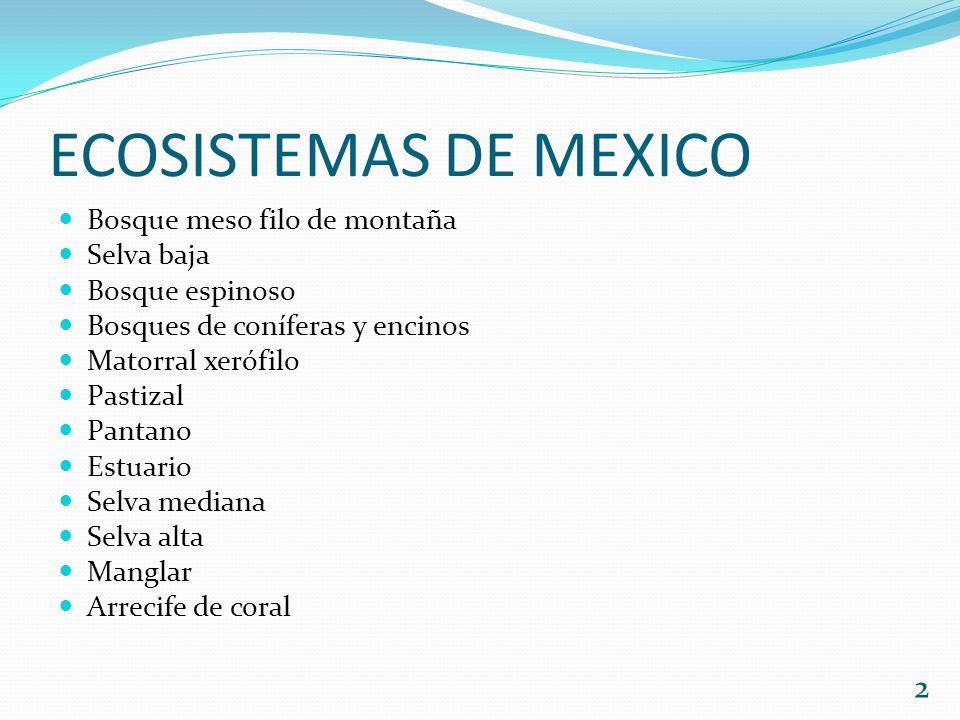 ECOSISTEMAS DE MEXICO Bosque meso filo de montaña Selva baja