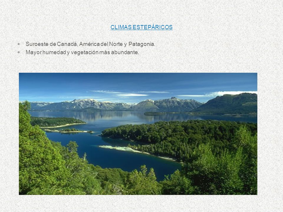 CLIMAS ESTEPÁRICOS Suroeste de Canadá, América del Norte y Patagonia.