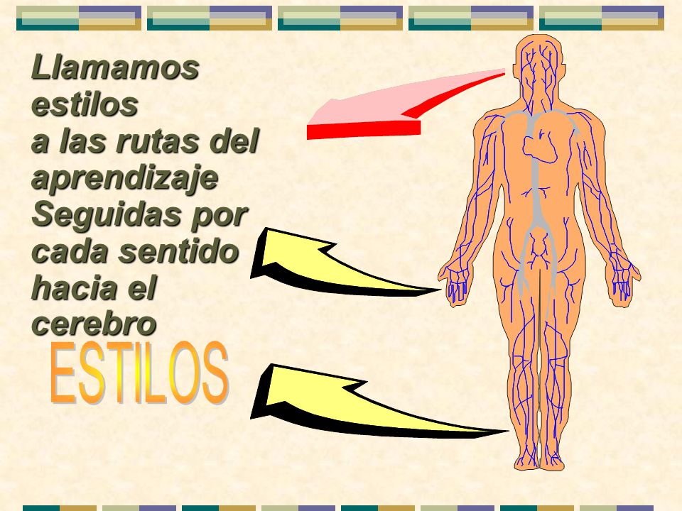 Llamamos estilos a las rutas del aprendizaje Seguidas por cada sentido hacia el cerebro ESTILOS