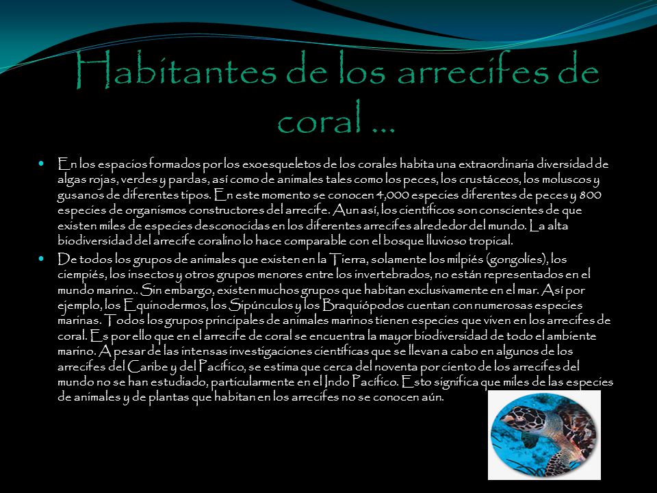 Habitantes de los arrecifes de coral …