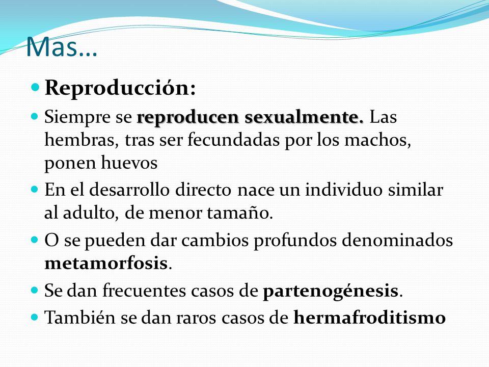 Mas… Reproducción: Siempre se reproducen sexualmente. Las hembras, tras ser fecundadas por los machos, ponen huevos.