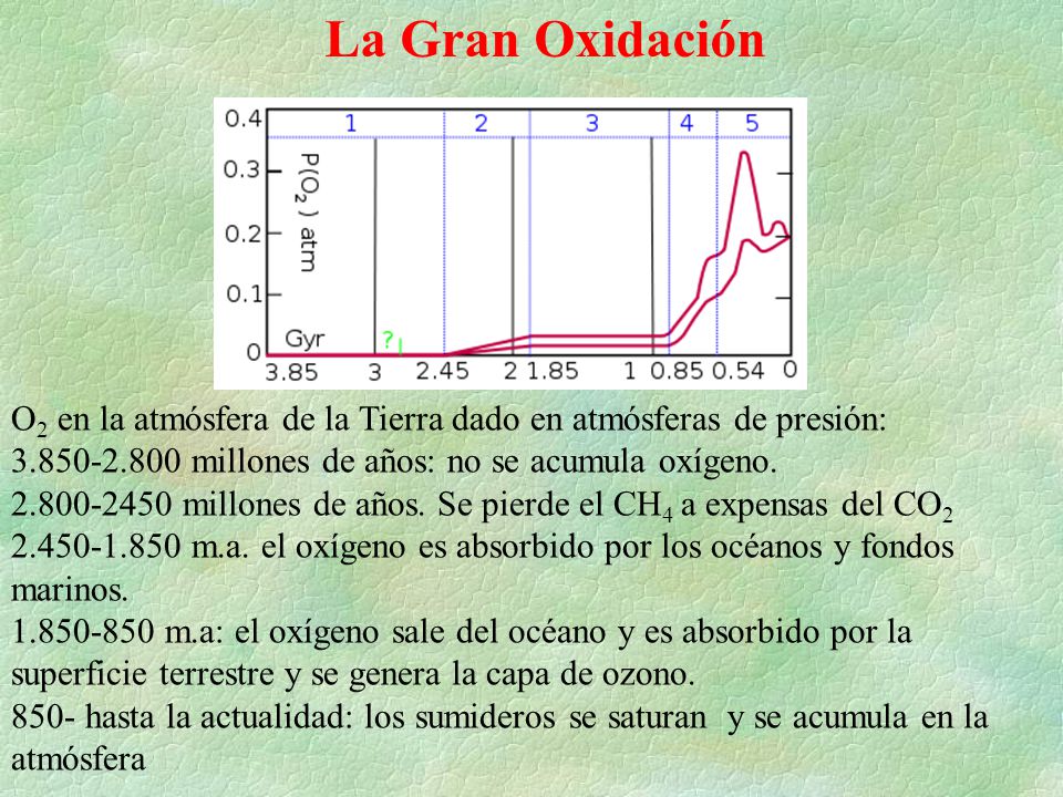 La Gran Oxidación O2 en la atmósfera de la Tierra dado en atmósferas de presión: millones de años: no se acumula oxígeno.