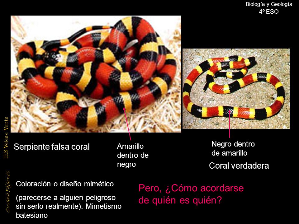 Pero, ¿Cómo acordarse de quién es quién