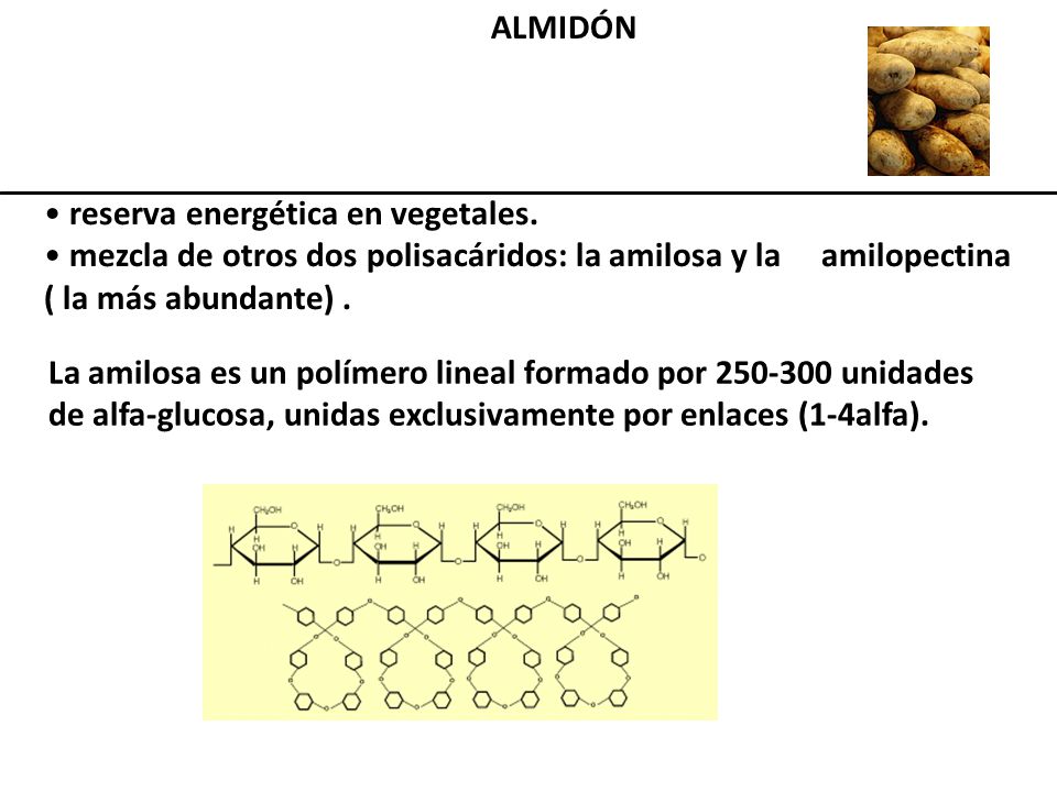 ALMIDÓN reserva energética en vegetales. mezcla de otros dos polisacáridos: la amilosa y la amilopectina ( la más abundante) .