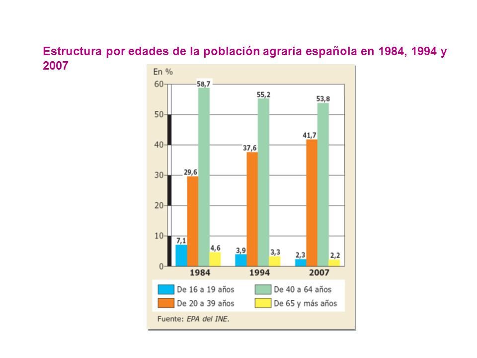 Estructura por edades de la población agraria española en 1984, 1994 y 2007