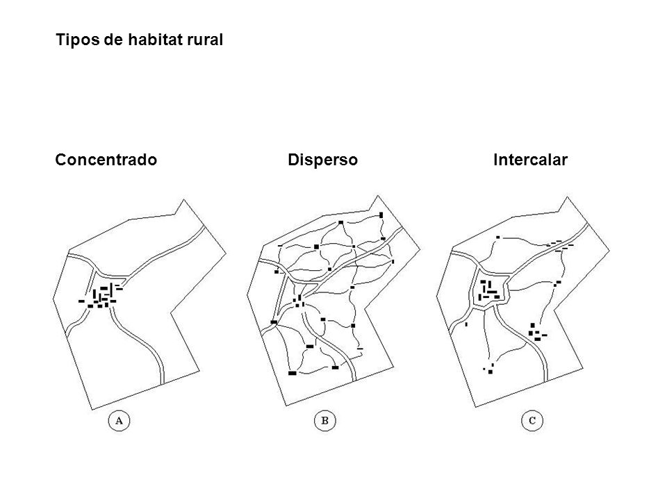 Tipos de habitat rural Concentrado Disperso Intercalar.
