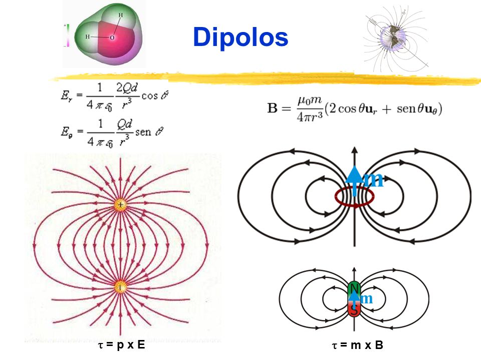 Dipolos  = p x E  = m x B