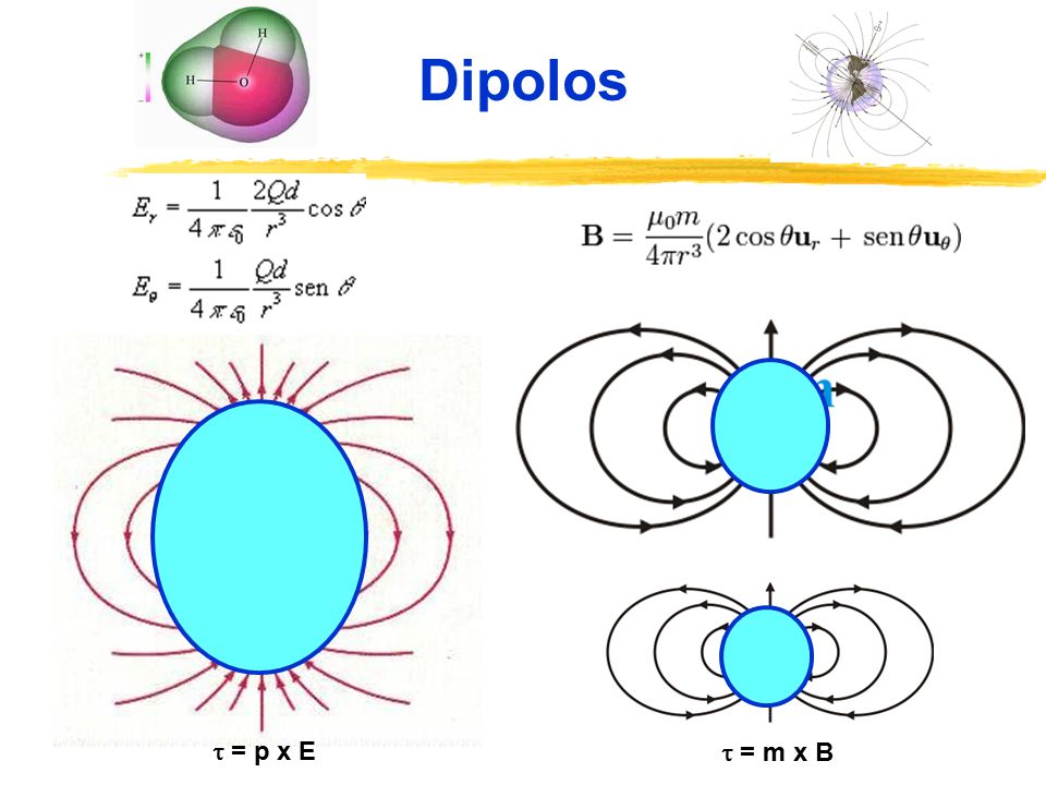 Dipolos  = p x E  = m x B