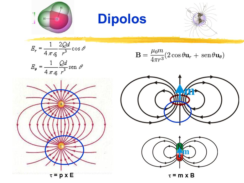 Dipolos  = p x E  = m x B