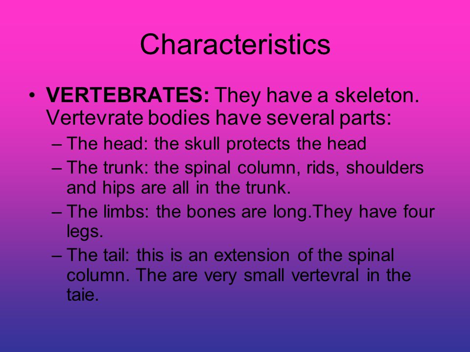 Characteristics VERTEBRATES: They have a skeleton. Vertevrate bodies have several parts: The head: the skull protects the head.