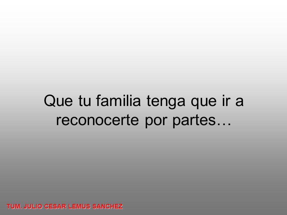 Que tu familia tenga que ir a reconocerte por partes…
