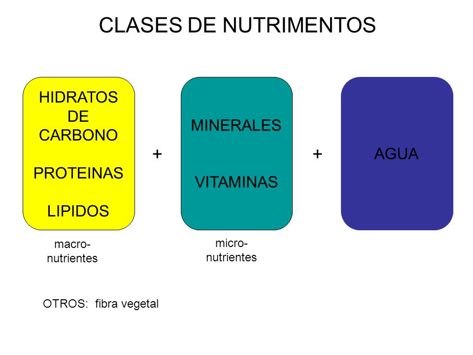 CLASES DE NUTRIMENTOS + + HIDRATOS DE CARBONO MINERALES AGUA VITAMINAS
