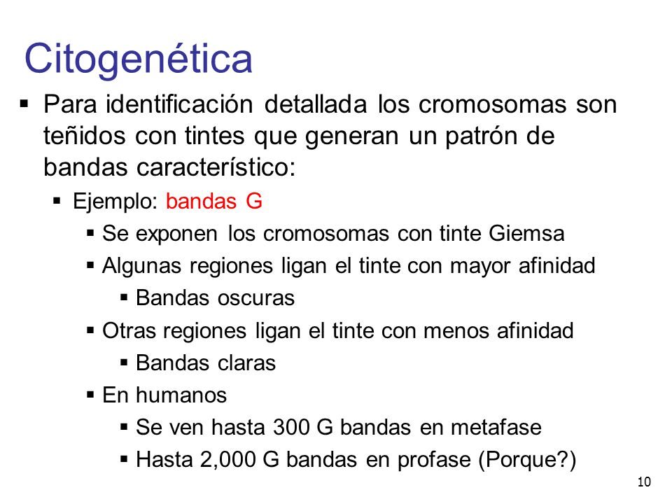 Citogenética Para identificación detallada los cromosomas son teñidos con tintes que generan un patrón de bandas característico: