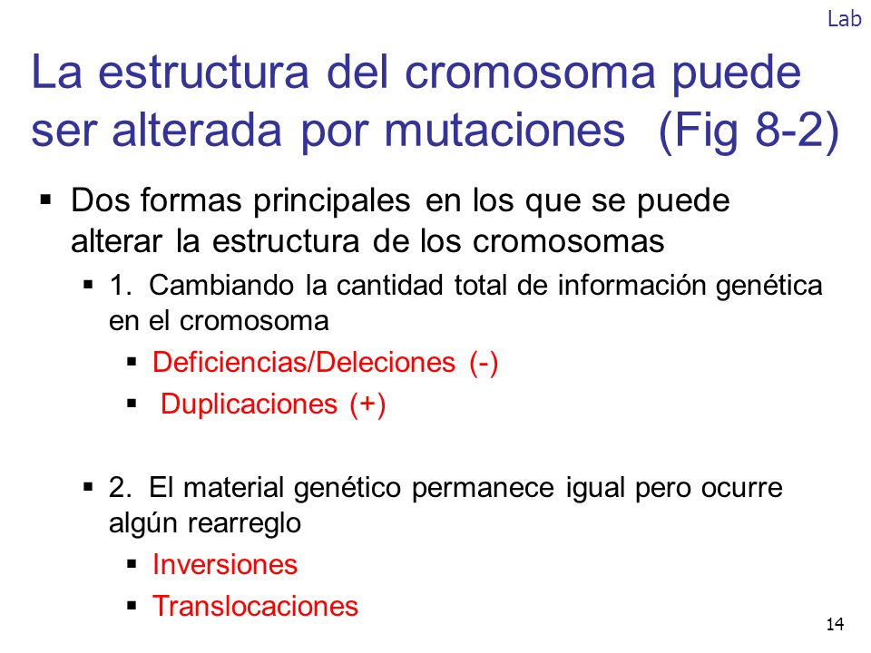 Lab La estructura del cromosoma puede ser alterada por mutaciones (Fig 8-2)