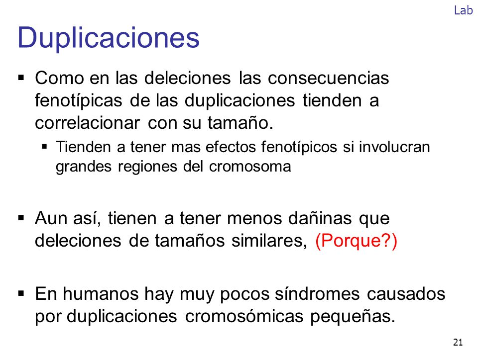Lab Duplicaciones. Como en las deleciones las consecuencias fenotípicas de las duplicaciones tienden a correlacionar con su tamaño.