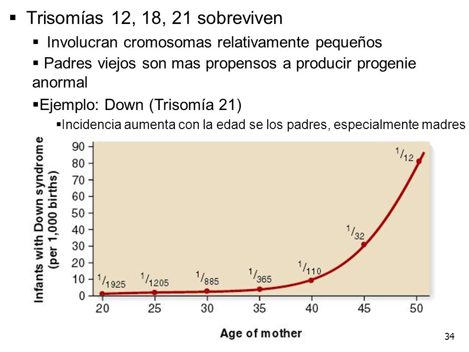 Trisomías 12, 18, 21 sobreviven Involucran cromosomas relativamente pequeños. Padres viejos son mas propensos a producir progenie anormal.