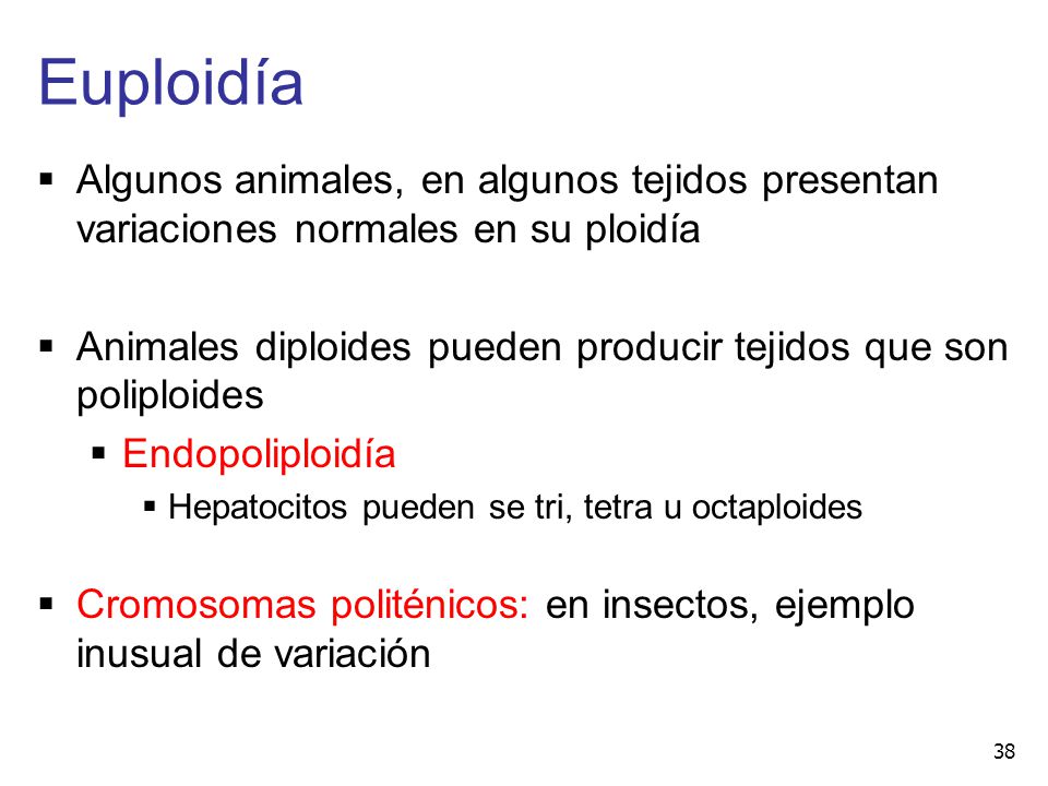Euploidía Algunos animales, en algunos tejidos presentan variaciones normales en su ploidía.