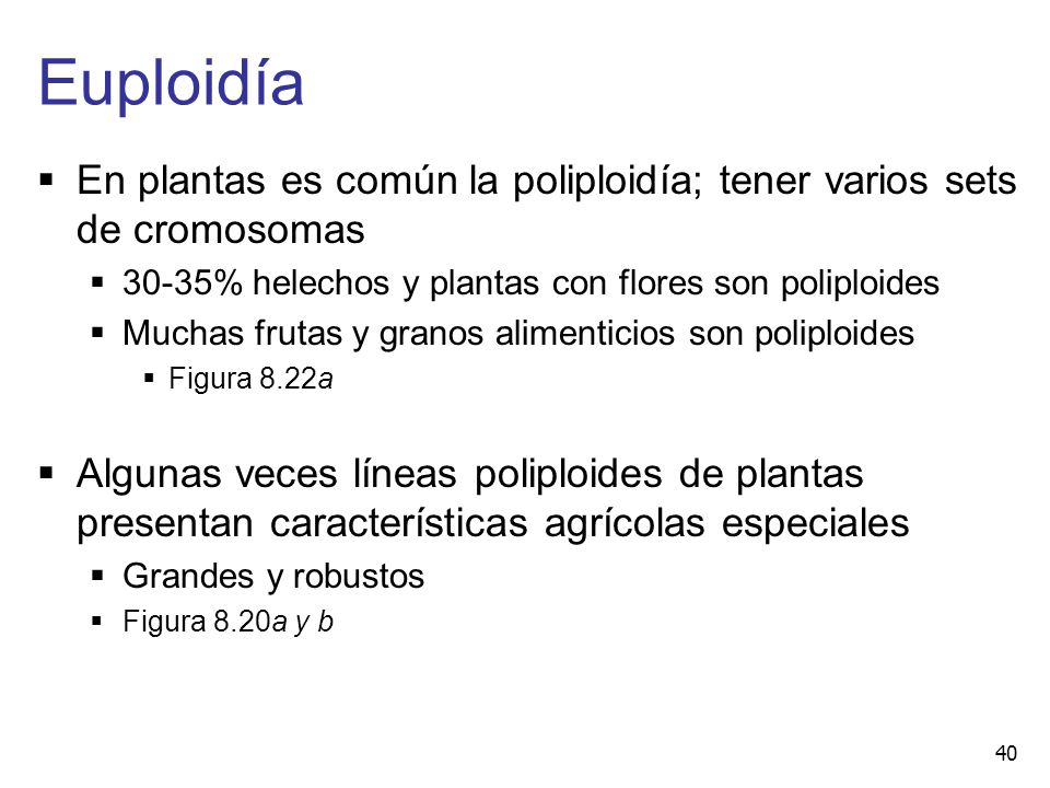 Euploidía En plantas es común la poliploidía; tener varios sets de cromosomas % helechos y plantas con flores son poliploides.